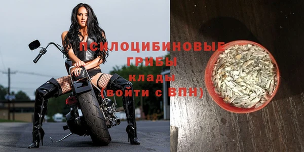 соль курить ск Заводоуковск